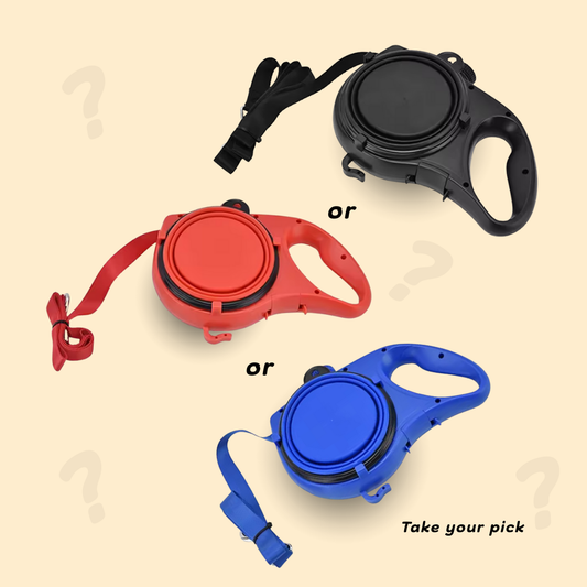 The Coconut Quad Leash